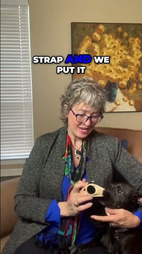 How to Fit Laser Glasses on Dogs Comfortably