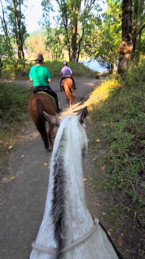 120K views · 8.3K reactions | First round of water on or trail ride. We went there a few years ago and I remembered being amused about Endo taking us back to the main trail. Momma got lost and he was sure to get us back to safety. I think he follows his scent path. I let him have a choice to stand with the others or go back and he took us back. The incline and turns negotiation were all him. | Endo the Blind | Facebook