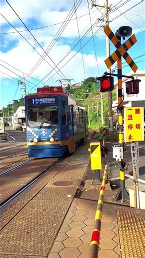 🚋【鹿児島市電9513号】KIRIKO✨ 新川4号踏切 Passage🚦