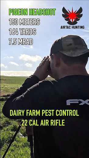 Unreal Precision | Air Rifle Pest Control #fxairguns #elementoptics