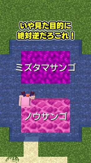 Blocks that don't look like their names #Minecraft #YukkuriCommentary