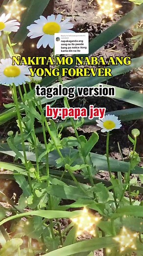 Replying to @leticiaarquerodomnakita mo naba ang yong forever #nakitamonabaangyongforever #foryou #fypage #virallovesong #tagaloglovesong #lovesong #song #music #tagalogsong #tagalogmusic #viralsong #viralmusic #trendingmusic #viral #trending #virallovesong #trendinglovesong
