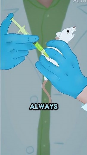 Why Every Experiment Uses Rats? 🐁🤔