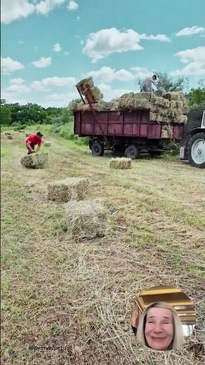 See How Real Farmers Do It #farming #farmwork #agriculture