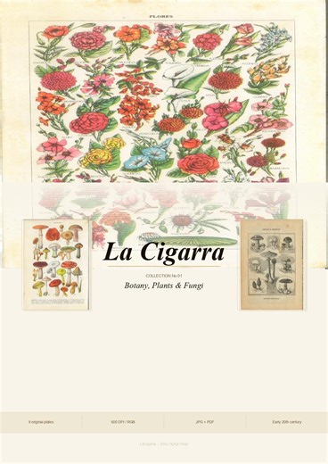 Vintage Botanical Prints Bundle | 9 Antique Plant & Fungi Illustrations | Digital Download | Printable Wall Art | 600 DPI - Etsy