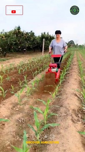 3.7K views · 17 reactions | Amazing row making mini power tiller machine #machine #tiller #powertiller #minitiller #minipowertiller #agriculture #farming #agriculturemachine #agriculturetools #farmingtools #farmingmachine | Discover Agriculture | Facebook
