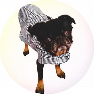 Retro Dog Jacket - 60s Fabric Coat- Handmade Pet Clothing - Eco-friendly Dogwear - Etsy