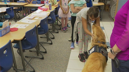 'Gus' the therapy dog making a difference for students at White Cloud Elementary