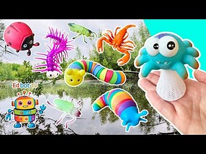 Pond Learning Fun | Bug Insect Names for Kids: Slug Spider Ladybug Grasshopper Soldier Beetle