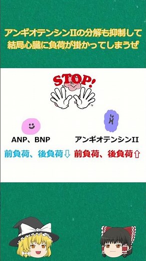 【新薬、ゆっくり解説】サクビトリルバルサルタン（エンレスト®錠）【薬剤師国家試験】 #shorts