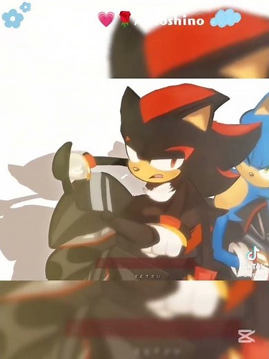 🖤💙Sonic x Shadow animation #sonicthehedgehog #sonic #shadow #shadowthehedgehog #sonadow