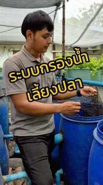 ระบบกรองน้ำเลี้ยงปลา #มนต์ศิริฟาร์ม #biofloc #การเลี้ยงปลาดุก #ปลาดุก #catfish