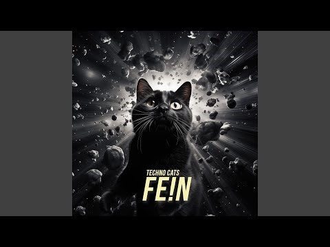 FE!N (Techno Remix)