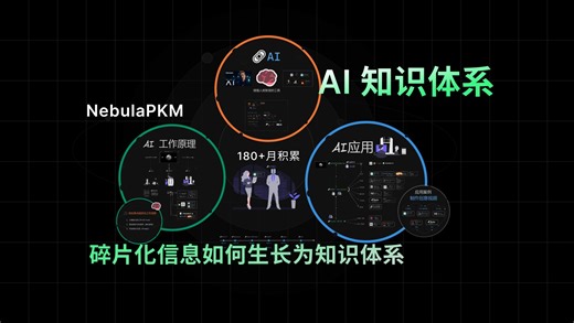 Ai知识体系-碎片化信息如何生长为知识体系（PKM案例分享）