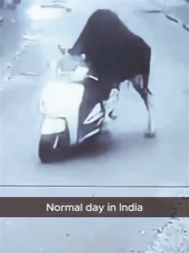 #funny #trending #foryou #goldenwave #fyp