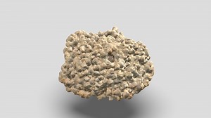 Photogrammetry Scan of High Detail Dry Reef Rock - 3D model by Arthur Kijkrittaya (@arthuz)