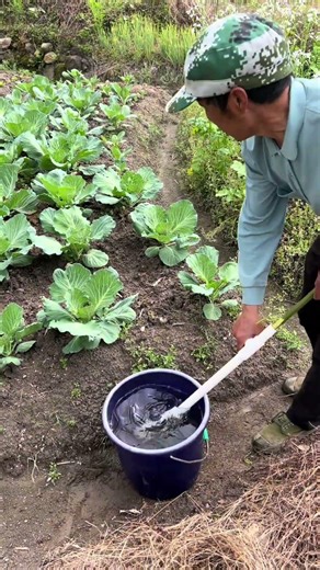 Simple PVC Pipe Sprinkler! 💧 Grandpa’s DIY Watering Hack Makes Gardening So Easy 🌱#DIY #Gardening