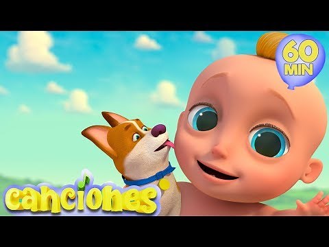 BINGO - Compilado Canciones Infantiles | LooLoo Kids Español