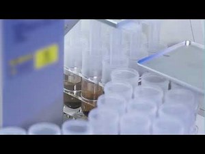GenScript AmMag™ Quatro ProAb 1300 - Protein and Antibody Purification
