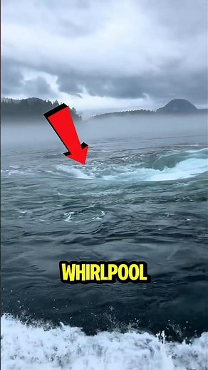 What Happens If You Throw Wood Into a Whirlpool? 😳