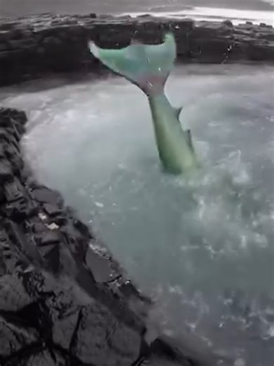 #Scary Mermaid in a Dam#Mythical creatures 🧞🌊🫶