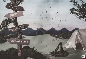 2.9M views · 2.2K reactions | School is out and summer is on its way,...