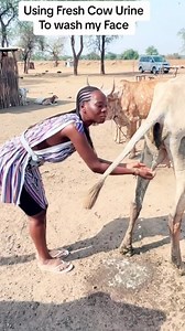 Usefulness of Cow pee | Drvee Comedian