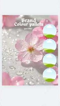 "How to create colour pallet for using canva"|| #graphic #colors #canvatutorial