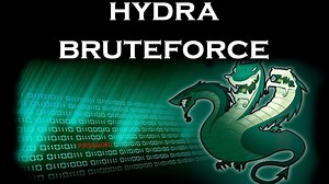 Hydra - полная инструкция по использованию и настройке