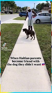 36K views · 410 reactions | "That's A Haitian Dog"   @Ohshelshel #lunionsuite #haitianamerican #haitian #caribbean | The Haitian American | Facebook
