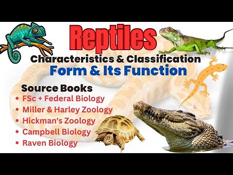 Class Reptilia | General Characteristics, Phylogeny, Classification & Diversity of Reptiles | PPSC