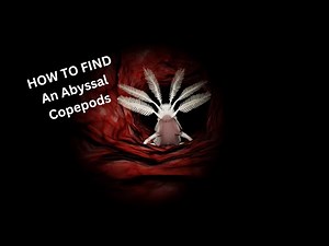 HOW TO FIND An Abyssal Copepods