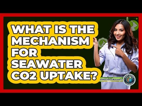 What Is The Mechanism For Seawater CO2 Uptake?