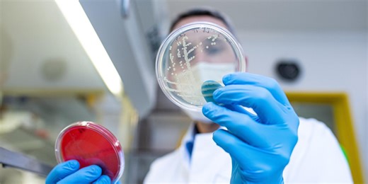 Mehr EHEC-Fälle in NRW registriert: Die wichtigsten Fragen und Antworten