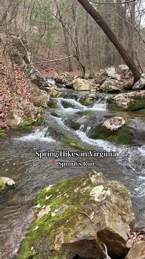 Showing you cool places to see this spring! Technically this trail is 7 miles. I always just go to the falls and turn around. You do walk through private property-as it’s part of national forest somehow. Just be respectful! It’s otherworldly and so peaceful #explorevirginia #nationalforest