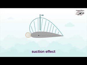 how to fly a helicopter