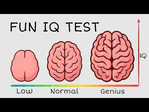 IQ TEST FOR FUN