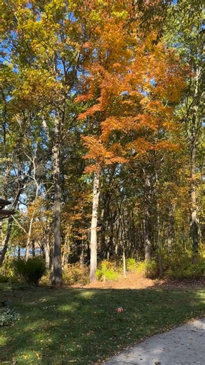 Beautiful fall day #autumn #fall | Brandi Ann Labadia