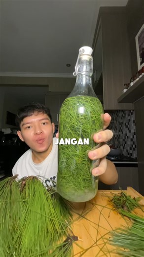 Novando Kristianto on Instagram: "Daun pinus semoga tidak membagongkan ya hasilnya :)"