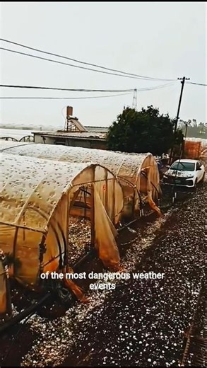 Hailstorm Explained: Ice Rocks Falling From the Sky! 🌩️❄️ | #shorts #shortsfeed #hailstorm