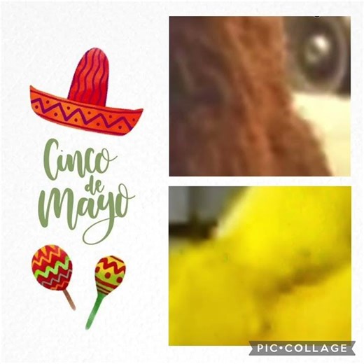 Big Bird and Snuffy (v1)