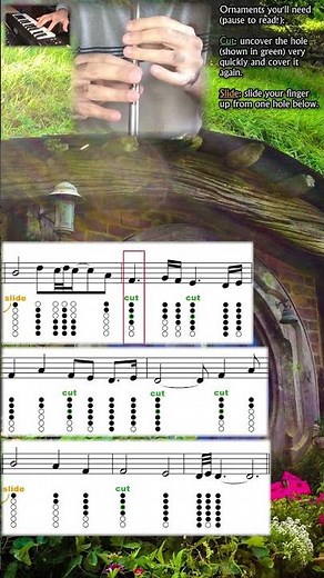 How to play Concerning Hobbits (Lord of The Rings) exactly like in the movie soundtrack (D whistle)