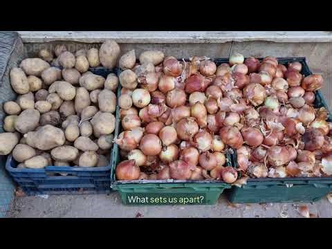 Marketplace Management Tools | Run Your Marketplace Efficiently with Sharetribe