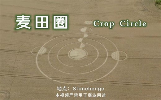 麦田圈 Crop Circle｜Stonehenge