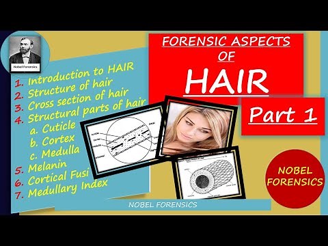 FORENSIC HAIR EVIDENCE PART-1 || FORENSIC ASPECTS OF HAIR || BASICS OF HAIR EVIDENCE