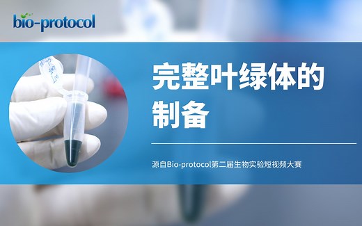 【Bio-protocol】完整叶绿体的制备