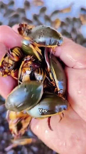 #science #popularvideo #usa_tiktok #fyp #fyp | Science