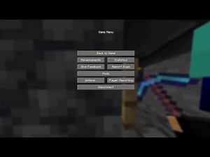 Trying to speed run Minecraft