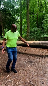 85K views · 1.1K reactions | I’m amazed how shallow the roots are. The forest is a good place to be today to keep out of the sun Try and avoid fitness in the full sun today and try not to walk your dogs in the hottest part of the day. Plenty of water for everyone including your pets #pets #dogs #cats #fitnessgoals #aliceholtforest #aliceholt #trees #tree #fallentree #woodlands | Shaun Wallace | Facebook