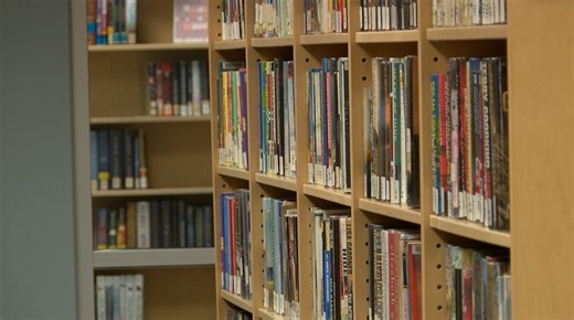 Johnson City Public Library hosting book sale, prices in single digits